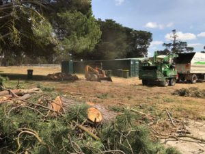 Wood chipping for Inverleigh Pony Club
