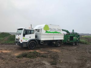 commercial tree services